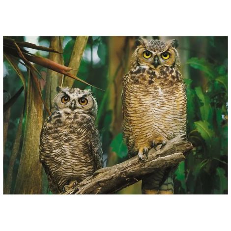 Puzzle Trefl 1000el Sowy - 2